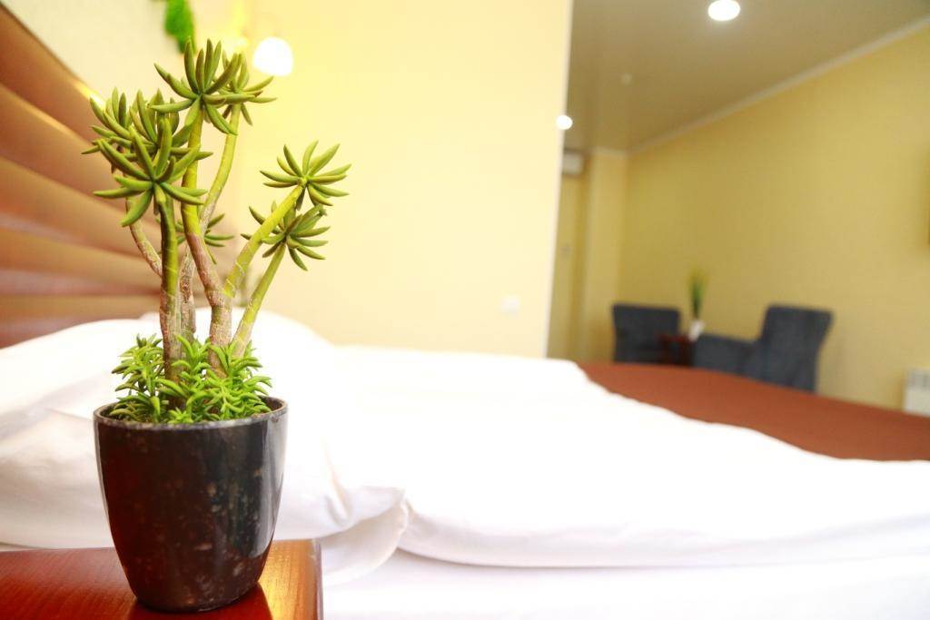 Green City Hotel Biszkek Zewnętrze zdjęcie